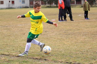 争夺冠军的球队势头强劲，夺冠有望